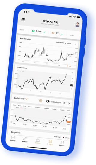 Nestval Partners digital web application on mobile device